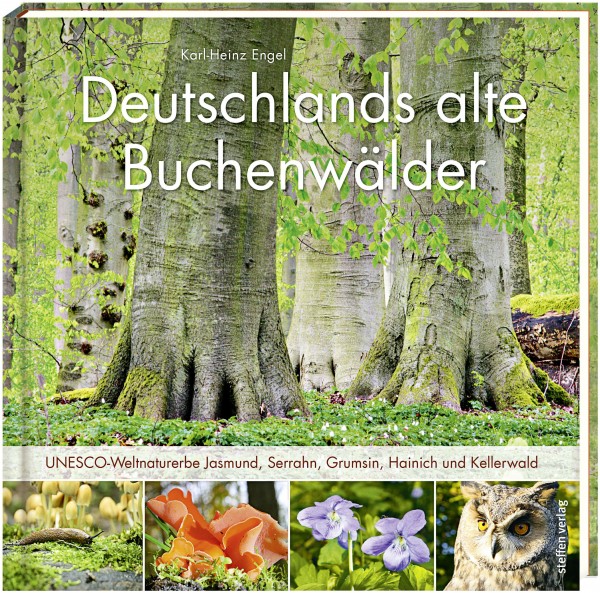 Deutschlands alte Buchenwälder